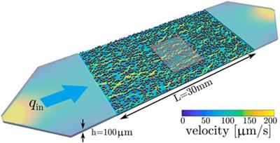 Localization in Flow of Non-Newtonian Fluids Through Disordered Porous Media